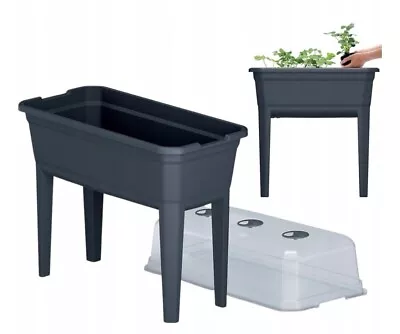 Elevated Greenhouse Plastic Raised Garden Bed Planter Pot Box Plant Kit With Lid • £33.89