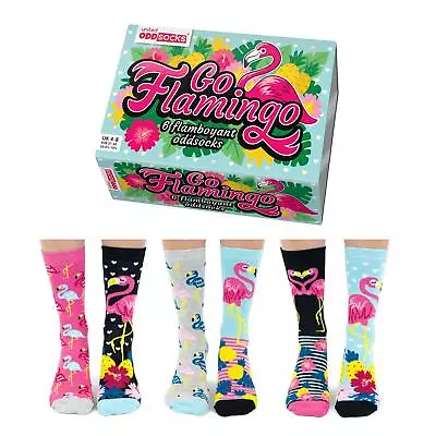 Socks For Women Go Flamingo 6 Mis Matched Ladies US 6.5-10.5 United Oddsocks • $28.99