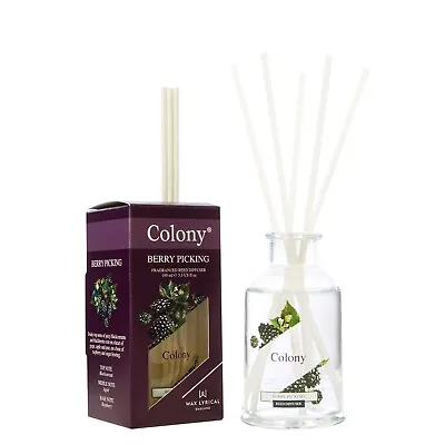 Wax Lyrical Colony Reed Diffuser - Berry Picking 100ml 🌹 🌻 🌷 🌼 • £11.99