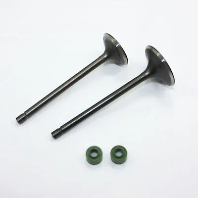 ZS CB 250cc Engine Head Intake Exhaust Valves PIT PRO TRAIL QUAD DIRT BIKE ATV • $22.79