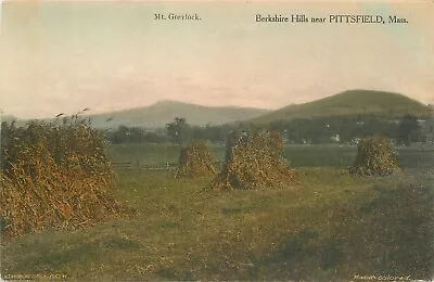 Postcard Massachusetts Pittsfield Berkshire Hills Mt. Greylock Albertype 23-8989 • $9.74