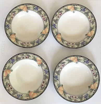MIKASA CAC29 Garden Harvest Rimmed Soup Bowls Set Of 4 9 3/8” Classic Pattern! • $20
