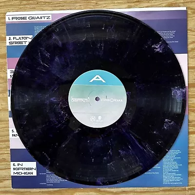 La Dispute - Panorama LP  Amathyst Swirl  Colored Vinyl Limited To 1000 • $20