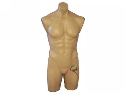 Male Manequin Mannequin Manikin Torso Form #PS-P908F • $85