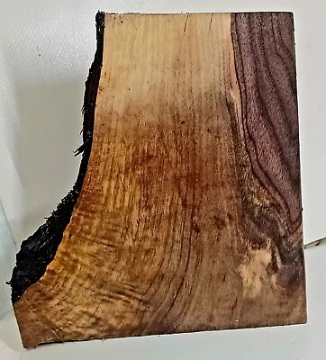 Natural Ohio Black Walnut Slab Live Edge Unfinished Wood Woodworking W207 • $12.77