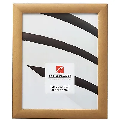 $40.99 • Buy Craig Frames Basic Modern Picture Frame / Poster Frame, 9 Colors, 20+ Sizes.