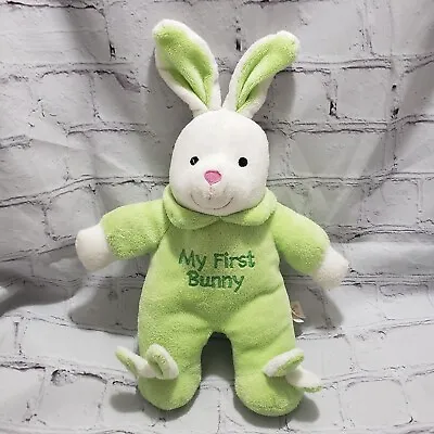 Dan Dee My First Bunny Plush 13 Inch Stuffed Animal Musical 2015 Green Easter • $17.47