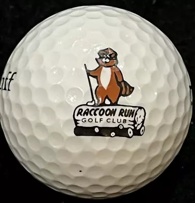 Raccoon Run Golf Club Golf Course Logo Golf Ball Myrtle Beach SC Closed Course • $10.99