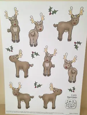 Lili Of The Valley Polar Bears & Reindeers Die Cuts 16 Cards + Backing Papers • £12.99