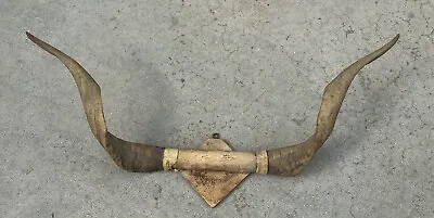 Vintage Sheep Goat Ram Spiral HORN Antler Mounted On Wood Wall Taxadermy Vintage • $120