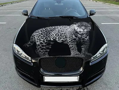 Jaguar Car Hood Wrap Vinyl Decal Full Color Graphics Wild Cat Sticker • $59.90