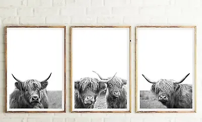 Set Of 3 Highland Cow Bull Wall Art Print. Great Home Decor. A3 A2 A1 Large Size • $96.59