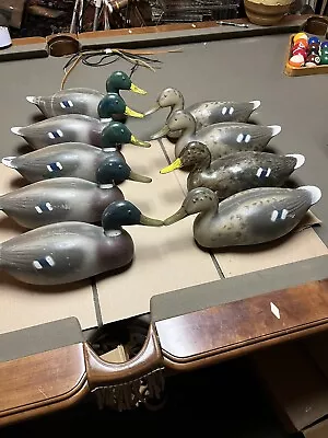 9 Vintage Duck Decoy Victor Animal Trap Company Hard Plastic Mallard 1960s • $85