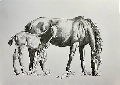 Original Drawing Art Pencil Sketch Horse Mare And Foal 8”x10  A4 Motherhood • £28.11