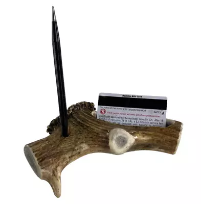 Elk Antler Business Card And Pen Holder Deer Elk Moose Rack Woods Cabin Office • $45