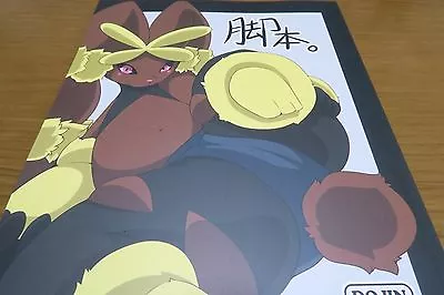 $59.99 • Buy POKEMON Doujinshi Lucario Gardevoir Etc. (B5 60pages) Kefumofu Ashihon