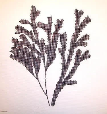 $69.99 • Buy Htf 2008 Melissa Shirley Hp Beach Seaweed Kelp Collection Needlepoint Canvas # 3