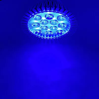 36W PAR38 Royal Blue 450nm~455nm LED Lamp Spot Light Bulb For Plant Aquarium • $20.99