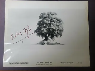 1957 Montgomery Clift Autograph  Raintree County   MGM Publicity Photo#57/131JSA • $899