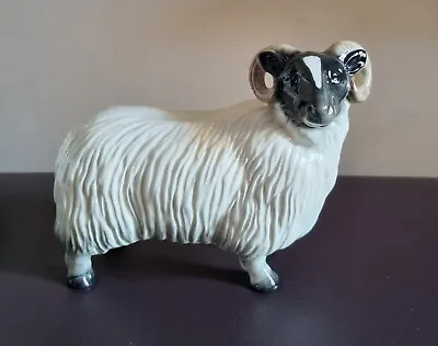 Impressive Vintage Coopercraft Blackface Ram Ceramic Figure Collectable Sheep • £28.50