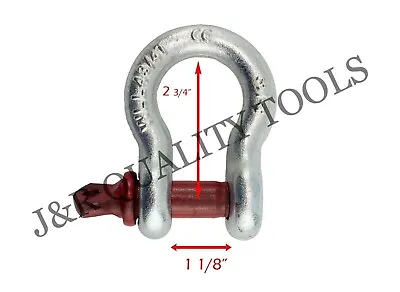 3/4  Bow Shackle Clevis Screw Pin Anchor  • $39.95