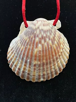 Ornament Scallop Shell #2 Camino Pilgrim • $12.50