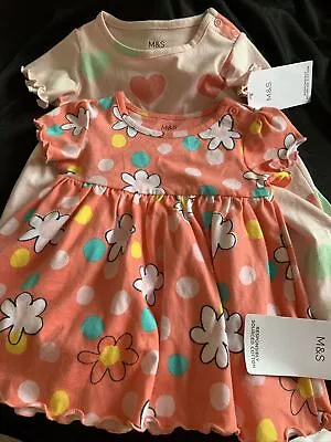 Two Baby  Girls New With Tags Dresses 3/6 And 9/12 Months BNWT  • £3