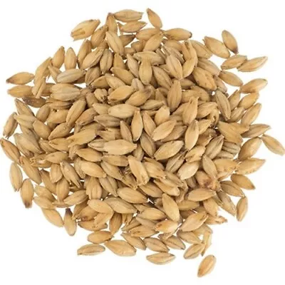 55 Lb - Maris Otter Pale Ale Malt - Bairds Malt - Beer Brewing Base Grain • $160