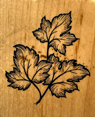 PSX Large MAPLE LEAVES On TREE BRANCH G1301 2000 Wood Mounted Rubber Stamp • $8.25