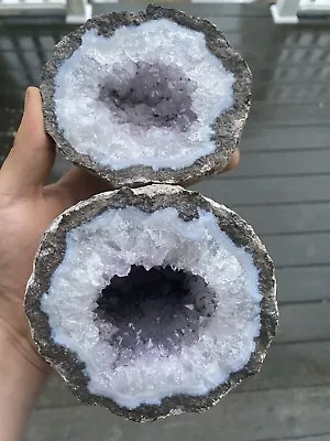 Amethyst Geode From Las Choyas Chihuahua Mexico • $75