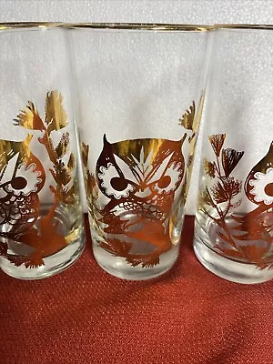 Vintage 1970’s Owl Drinking Glasses Gold Tones 4 In Lot • $27