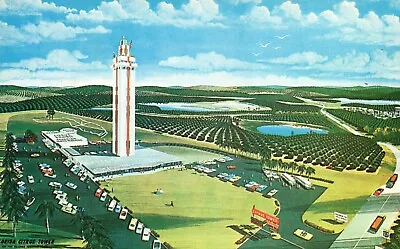 Postcard FL Clermont Citrus Observation Tower Posted Chrome Vintage PC J290 • $3