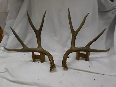 5x4 Set Colorado MULE DEER ANTLERS Whitetail Rack Mount Elk Sheds Dog Chews • $100