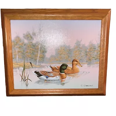 Vtg C Carson Ducks On Pond Oil On Canvas Painting Signed Wood Framed • $39.97