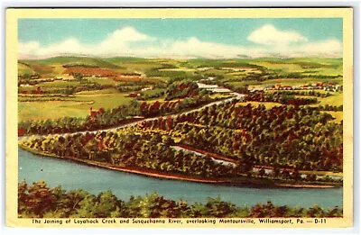 Loyalsock Creek Susquehanna River Montoursville Williamsport Pa Postcard • $4.55