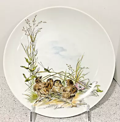 Vintage Kaiser W Germany Fine Porcelain Nature Bird Decor Plate Lerchen Lark • $29.25