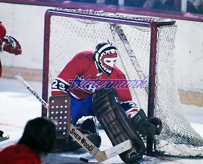 NHL Montreal Canadiens Ken Dryden Game Action Color 8 X 10 Photo Picture • $5.59