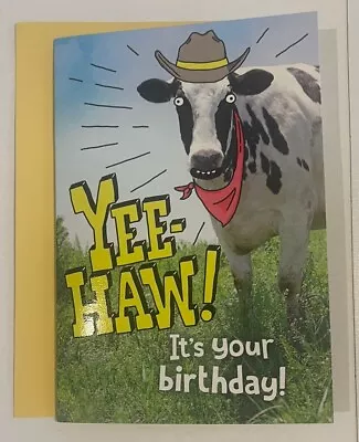 Hallmark Birthday Card ~ Cows Udderly Happy Birthday Musical Each Cow Button • $6.99