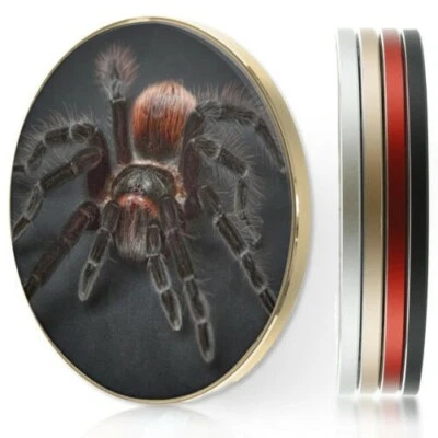 $40.81 • Buy QI Wireless Charger For Apple Iphone 11/XS/8/Samsung S10/S9 - Tarantula Spider