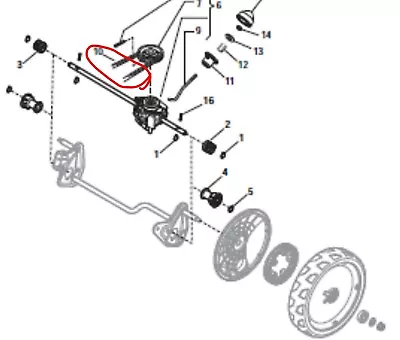 Lawnking Champion 484 Drive Belt Cr484s R484tr R484tre Rl484tr Rl484tre Cs484s  • £7.75