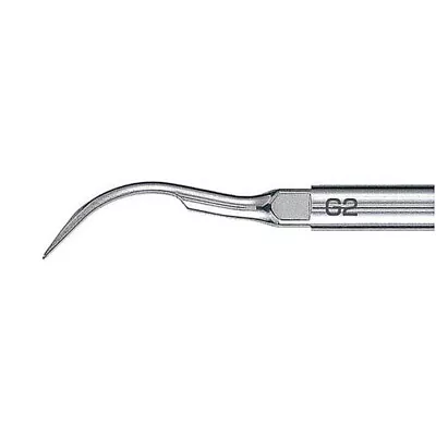 Brasseler G2E Scaling Tip • $80