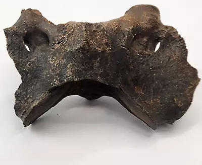 Mammal Atlas Vertebra Fossil - Florida - Pleistocene Ice Age - Tapir (?)  • $59.99