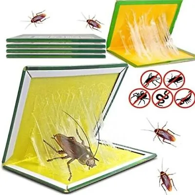 Insect Control Glue Boards Cockroaches Ants Spiders Strong Glue Pit • £9.99