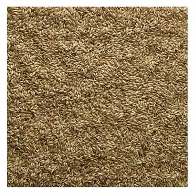 Bucktons Canary Seed 500g 1kg 2kg 5kg - Aviary Cage Bird Food In Clear Loose Bag • £4.75