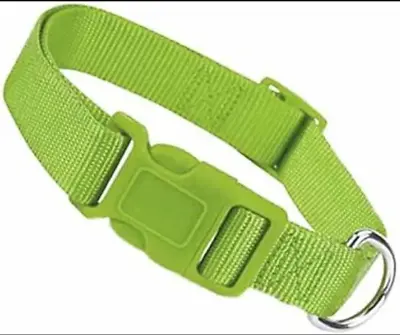 $6.60 • Buy Zack & Zoey Dog Collar Adjustable Lime Green 18-26  1  Wide