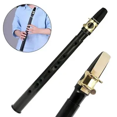 Mini Pocket Saxophone C Key Sax Woodwind Instrument With Carrying Bag Prof • $23.85
