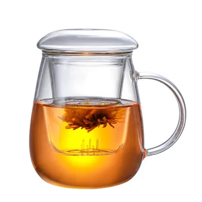 Coffee Tea Mug With Infuser Filter And Lid Transparent Water Clear Glass Cup Set • $17.09