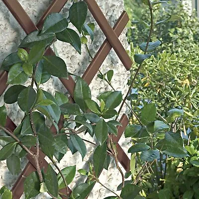 2  X 6ft Expanding BROWN Plastic Wall Trellis Climbing Plants Garden Trellis • £8.99