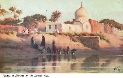 Vintage Postcard 1910's Egyptian Village Of Shinhab On The Lower Nile Oilette • £9.51