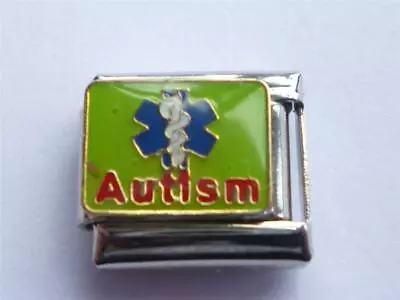 £2.90 • Buy AUTISM CLASSIC ITALIAN CHARM LINK  Fits All 9mm Italian Bracelet SF12